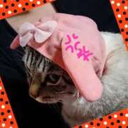 ヒメ日記 2025/02/19 18:11 投稿 ひろか 名古屋ちゃんこ