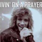 ヒメ日記 2025/02/20 20:47 投稿 ひろか 名古屋ちゃんこ