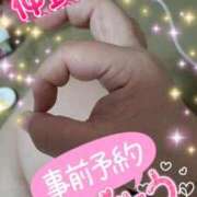 ヒメ日記 2025/04/15 15:07 投稿 ひろか 名古屋ちゃんこ