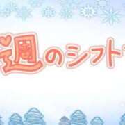 ヒメ日記 2025/04/16 17:17 投稿 ひろか 名古屋ちゃんこ