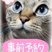 ヒメ日記 2025/04/16 22:34 投稿 ひろか 名古屋ちゃんこ