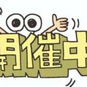 ヒメ日記 2025/04/18 01:32 投稿 ひろか 名古屋ちゃんこ