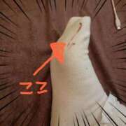 ヒメ日記 2025/04/18 15:38 投稿 ひろか 名古屋ちゃんこ