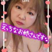 ヒメ日記 2025/04/18 17:19 投稿 ひろか 名古屋ちゃんこ