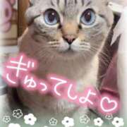 ヒメ日記 2025/04/18 20:27 投稿 ひろか 名古屋ちゃんこ