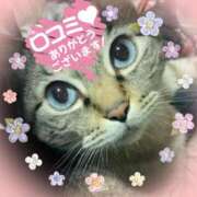 ヒメ日記 2025/04/19 14:27 投稿 ひろか 名古屋ちゃんこ