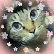 ヒメ日記 2025/04/21 16:16 投稿 ひろか 名古屋ちゃんこ