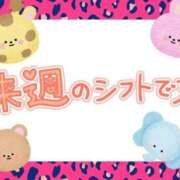 ヒメ日記 2025/04/23 16:58 投稿 ひろか 名古屋ちゃんこ