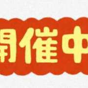 ヒメ日記 2025/04/23 19:57 投稿 ひろか 名古屋ちゃんこ