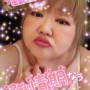 ヒメ日記 2025/04/25 15:07 投稿 ひろか 名古屋ちゃんこ