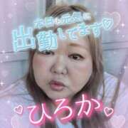 ヒメ日記 2025/08/17 18:17 投稿 ひろか 名古屋ちゃんこ