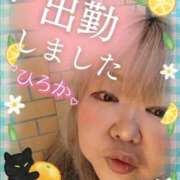 ひろか この時間も 名古屋ちゃんこ