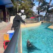 ヒメ日記 2025/02/26 15:01 投稿 みづき スパーク日本橋