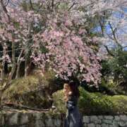 ヒメ日記 2025/04/01 12:24 投稿 みづき スパーク日本橋