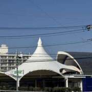 ヒメ日記 2025/01/24 11:27 投稿 ゆい 素人妻御奉仕倶楽部Hip's松戸店