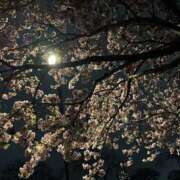 ヒメ日記 2025/04/14 07:16 投稿 ゆい 素人妻御奉仕倶楽部Hip's松戸店