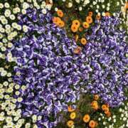 ヒメ日記 2025/04/18 10:56 投稿 ゆい 素人妻御奉仕倶楽部Hip's松戸店