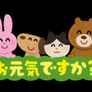 ヒメ日記 2025/09/16 08:19 投稿 ゆい 素人妻御奉仕倶楽部Hip's松戸店