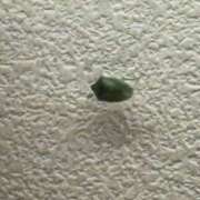 ヒメ日記 2025/12/01 20:49 投稿 ゆい 素人妻御奉仕倶楽部Hip's松戸店