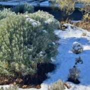 ヒメ日記 2026/01/03 12:19 投稿 ゆい 素人妻御奉仕倶楽部Hip's松戸店