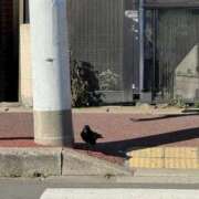 ヒメ日記 2026/02/03 11:05 投稿 ゆい 素人妻御奉仕倶楽部Hip's松戸店