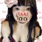 ヒメ日記 2026/02/20 09:50 投稿 ゆい 素人妻御奉仕倶楽部Hip's松戸店