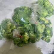 ヒメ日記 2026/03/04 13:19 投稿 ゆい 素人妻御奉仕倶楽部Hip's松戸店