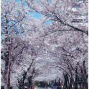 ヒメ日記 2026/03/09 12:22 投稿 ゆい 素人妻御奉仕倶楽部Hip's松戸店