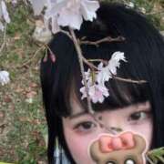 ヒメ日記 2026/03/27 23:49 投稿 ゆい 素人妻御奉仕倶楽部Hip's松戸店