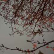 ヒメ日記 2026/03/28 10:29 投稿 ゆい 素人妻御奉仕倶楽部Hip's松戸店