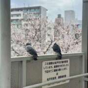 ヒメ日記 2026/04/02 13:39 投稿 ゆい 素人妻御奉仕倶楽部Hip's松戸店