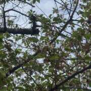 ヒメ日記 2026/04/13 10:39 投稿 ゆい 素人妻御奉仕倶楽部Hip's松戸店