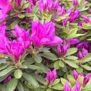 ゆい 松戸Ｋさんへ💌♡ 素人妻御奉仕倶楽部Hip's松戸店