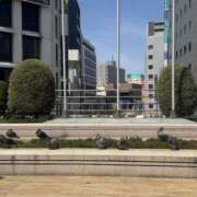 ヒメ日記 2026/04/17 10:48 投稿 ゆい 素人妻御奉仕倶楽部Hip's松戸店