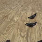 ヒメ日記 2026/04/17 13:13 投稿 ゆい 素人妻御奉仕倶楽部Hip's松戸店