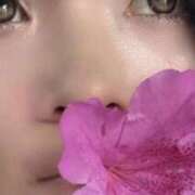 ヒメ日記 2026/04/23 16:49 投稿 ゆい 素人妻御奉仕倶楽部Hip's松戸店