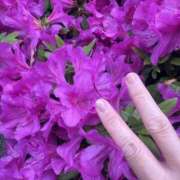 ヒメ日記 2026/04/27 10:29 投稿 ゆい 素人妻御奉仕倶楽部Hip's松戸店