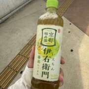 ヒメ日記 2026/08/24 19:50 投稿 ゆい 素人妻御奉仕倶楽部Hip's松戸店