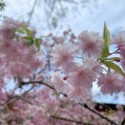 ヒメ日記 2025/04/05 23:41 投稿 さゆり ヴィヴィッド・クルーマダム・セカンドヴァージン十三店