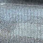 ヒメ日記 2025/03/19 06:36 投稿 桜木 丸妻 西船橋店