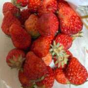 ヒメ日記 2025/03/25 20:41 投稿 桜木 丸妻 西船橋店