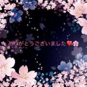 ヒメ日記 2025/04/04 06:39 投稿 桜木 丸妻 西船橋店