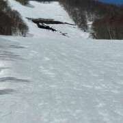 ヒメ日記 2025/04/06 05:01 投稿 桜木 丸妻 西船橋店