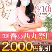 ヒメ日記 2025/04/07 09:13 投稿 桜木 丸妻 西船橋店