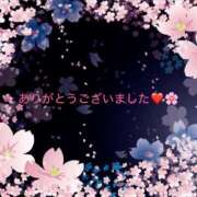 ヒメ日記 2025/04/11 06:20 投稿 桜木 丸妻 西船橋店