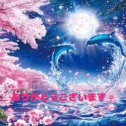 ヒメ日記 2025/04/13 09:58 投稿 桜木 丸妻 西船橋店