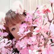 ヒメ日記 2025/05/14 16:27 投稿 桜木 丸妻 西船橋店