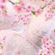 ヒメ日記 2025/05/26 17:27 投稿 桜木 丸妻 西船橋店