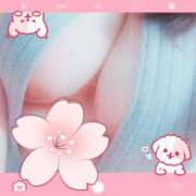 ヒメ日記 2025/06/14 14:41 投稿 桜木 丸妻 西船橋店