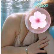 ヒメ日記 2025/06/24 06:32 投稿 桜木 丸妻 西船橋店